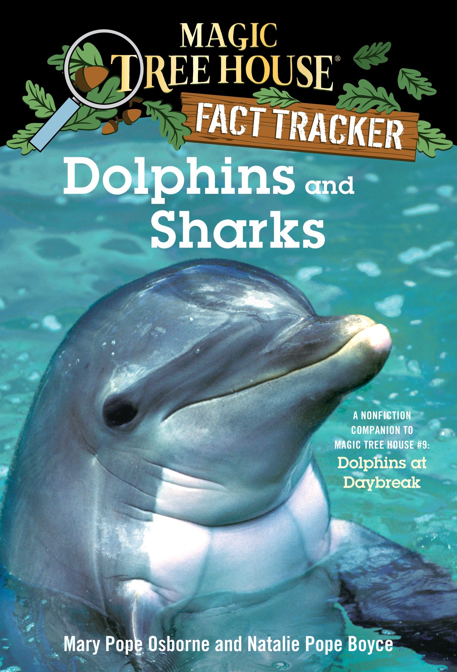 Dolphins and sharks a nonfiction companion to Magic Tree House #9: dolphins at daybreak cover image