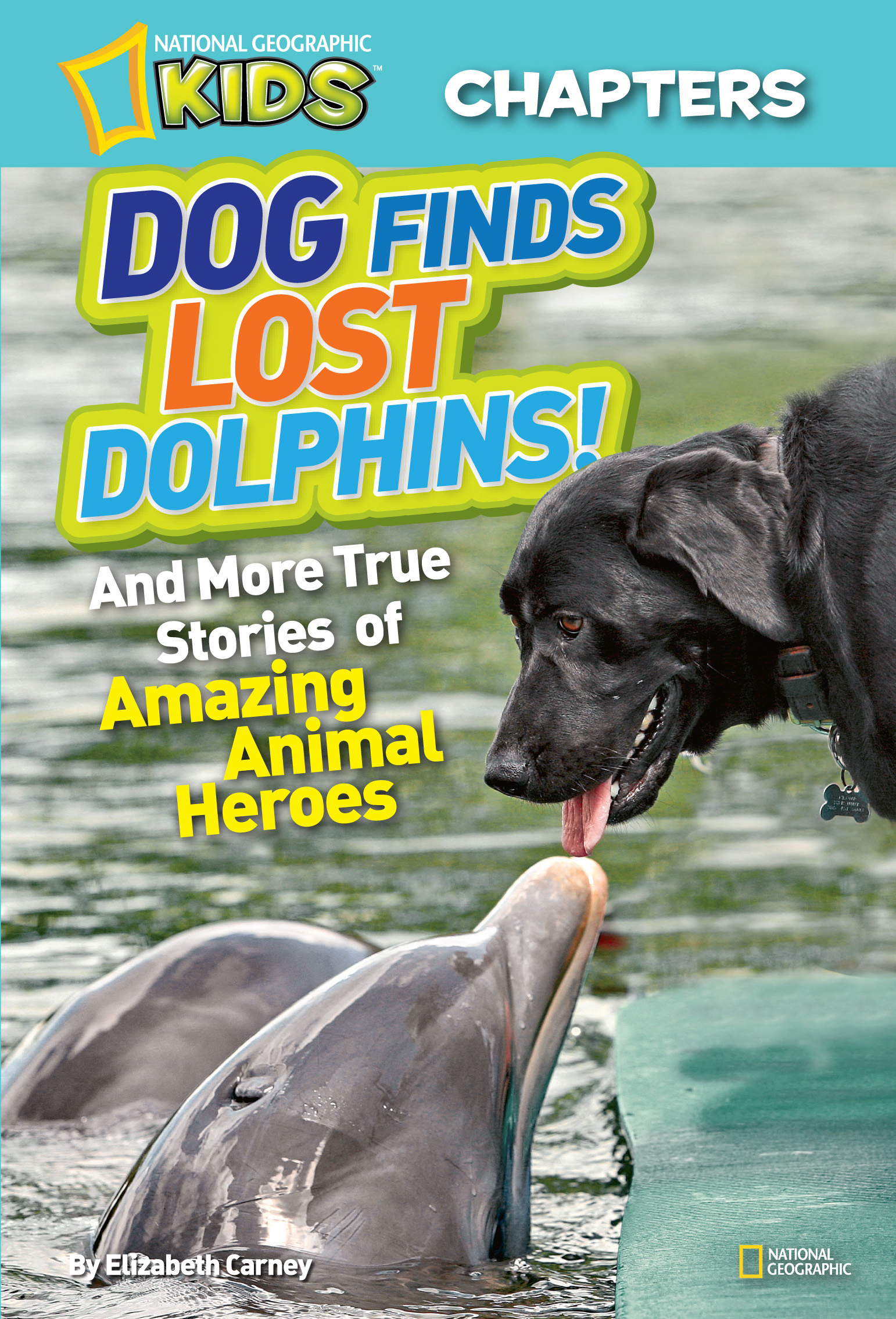 National Geographic kids chapters: dog finds lost dolphins And More True Stories of Amazing Animal Heroes cover image