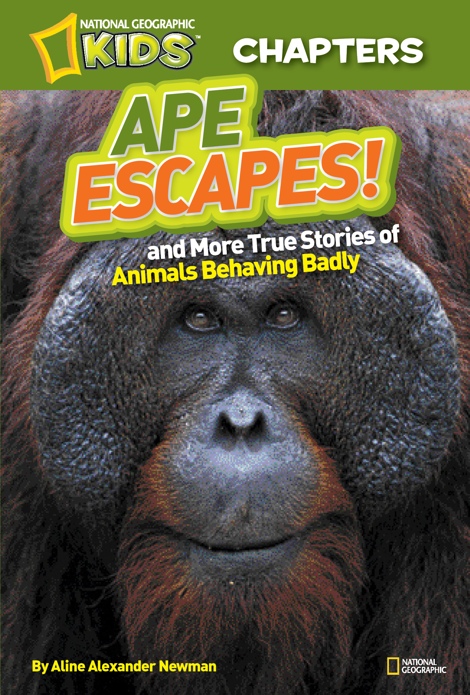 National Geographic kids chapters: ape escapes and more true stories of animals behaving badly cover image