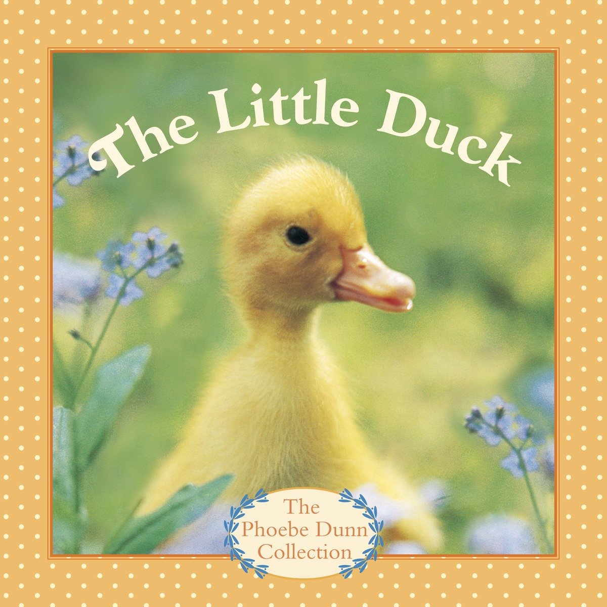 The little duck cover image