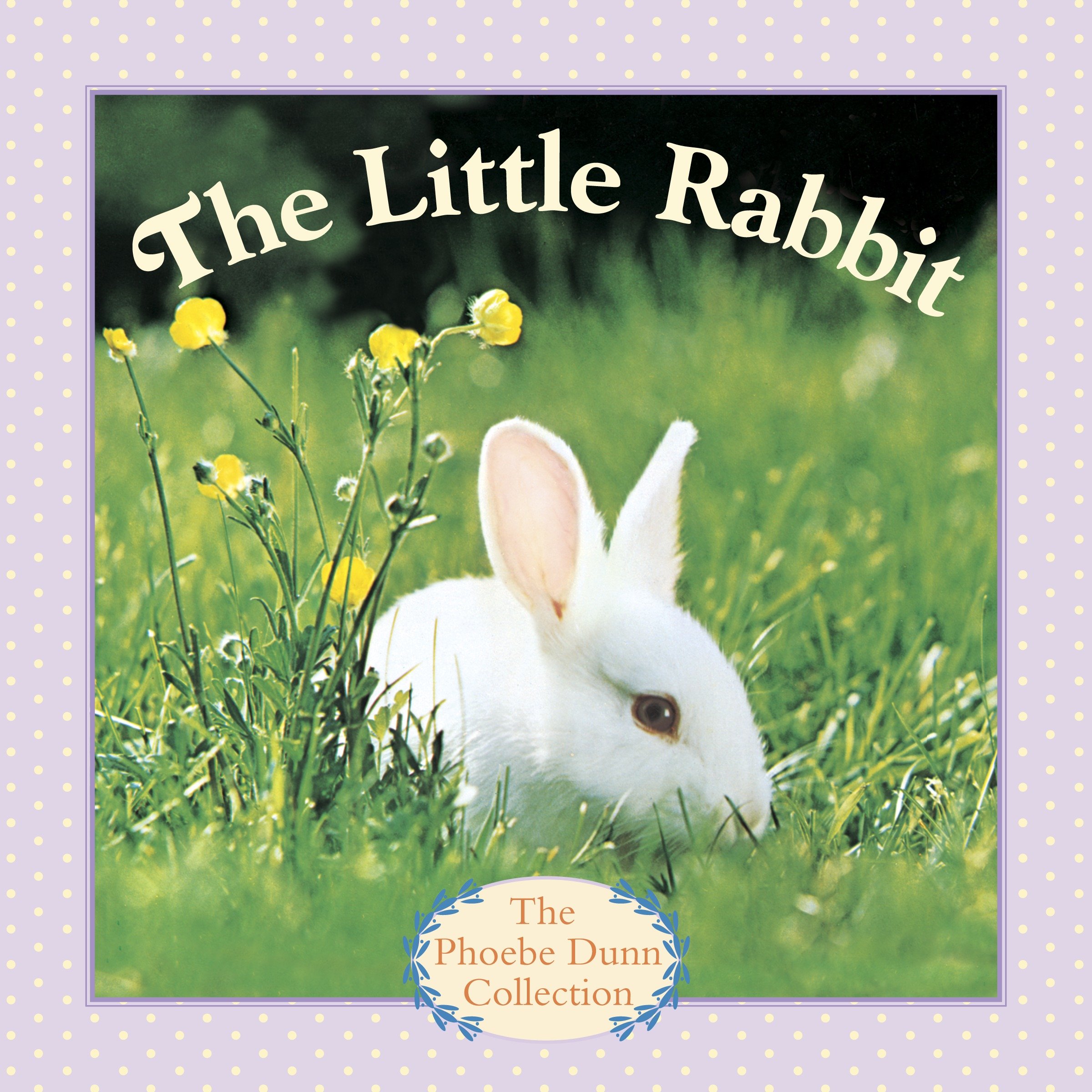 The little rabbit cover image