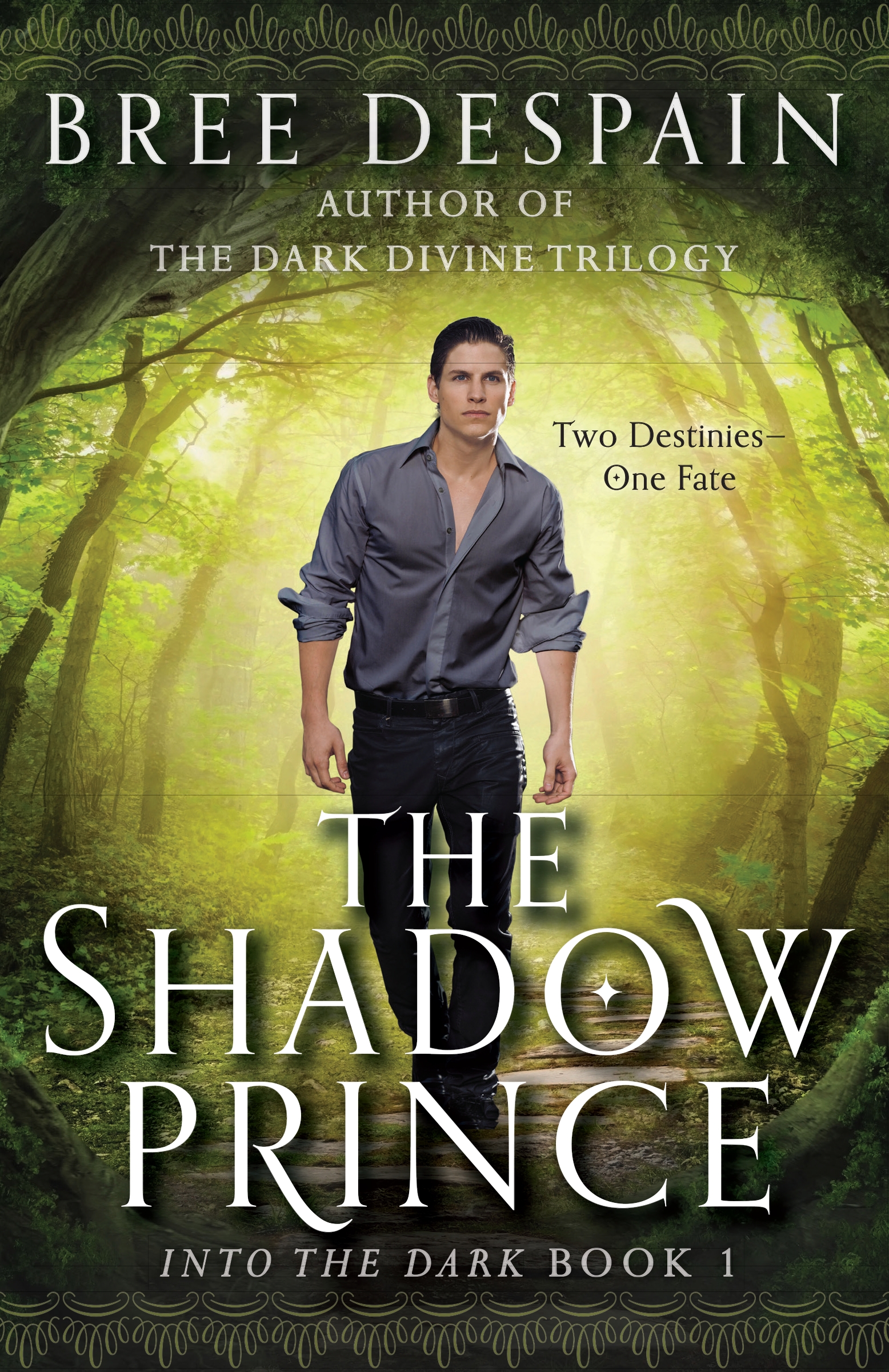 The shadow prince cover image