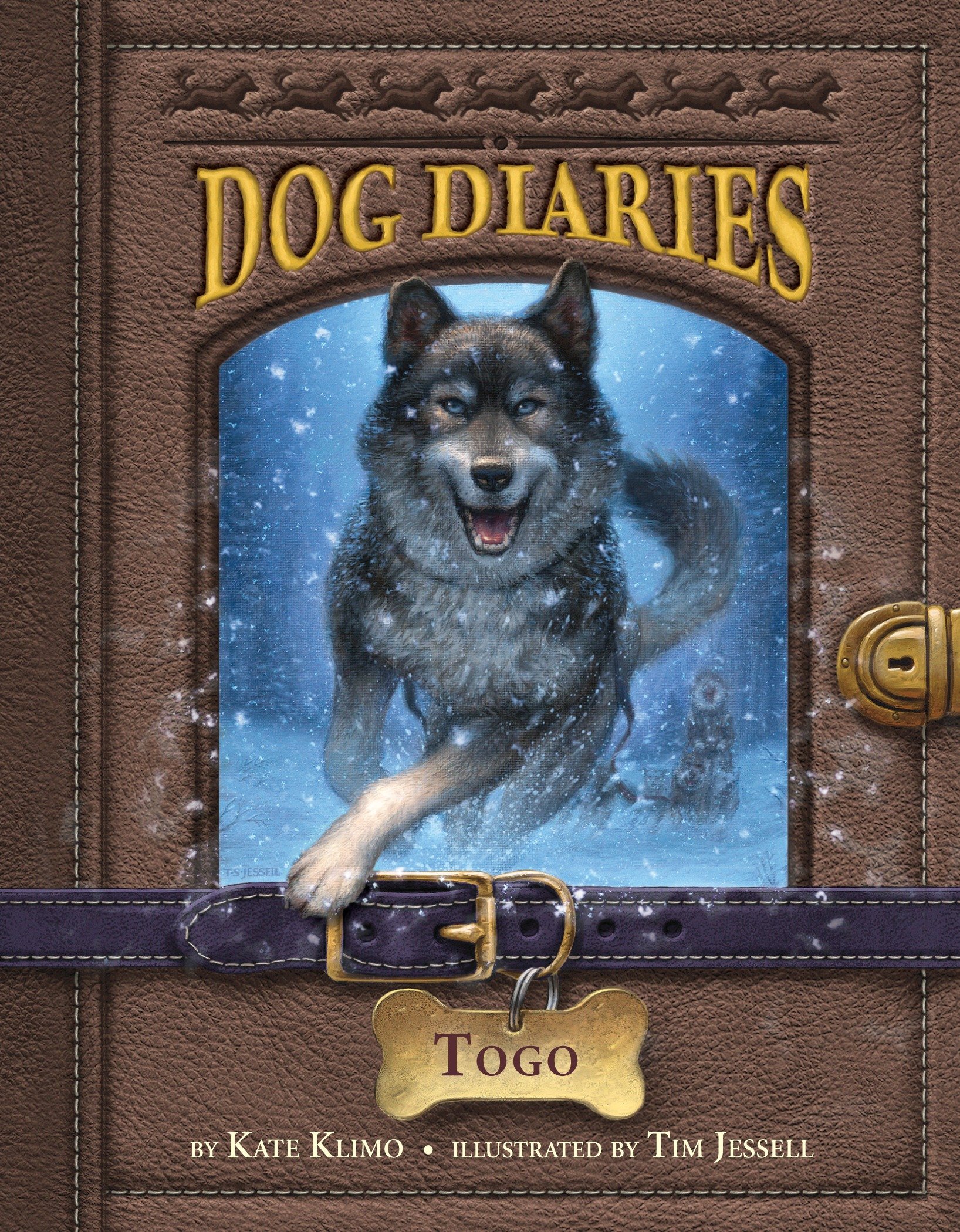 Dog diaries: Togo cover image