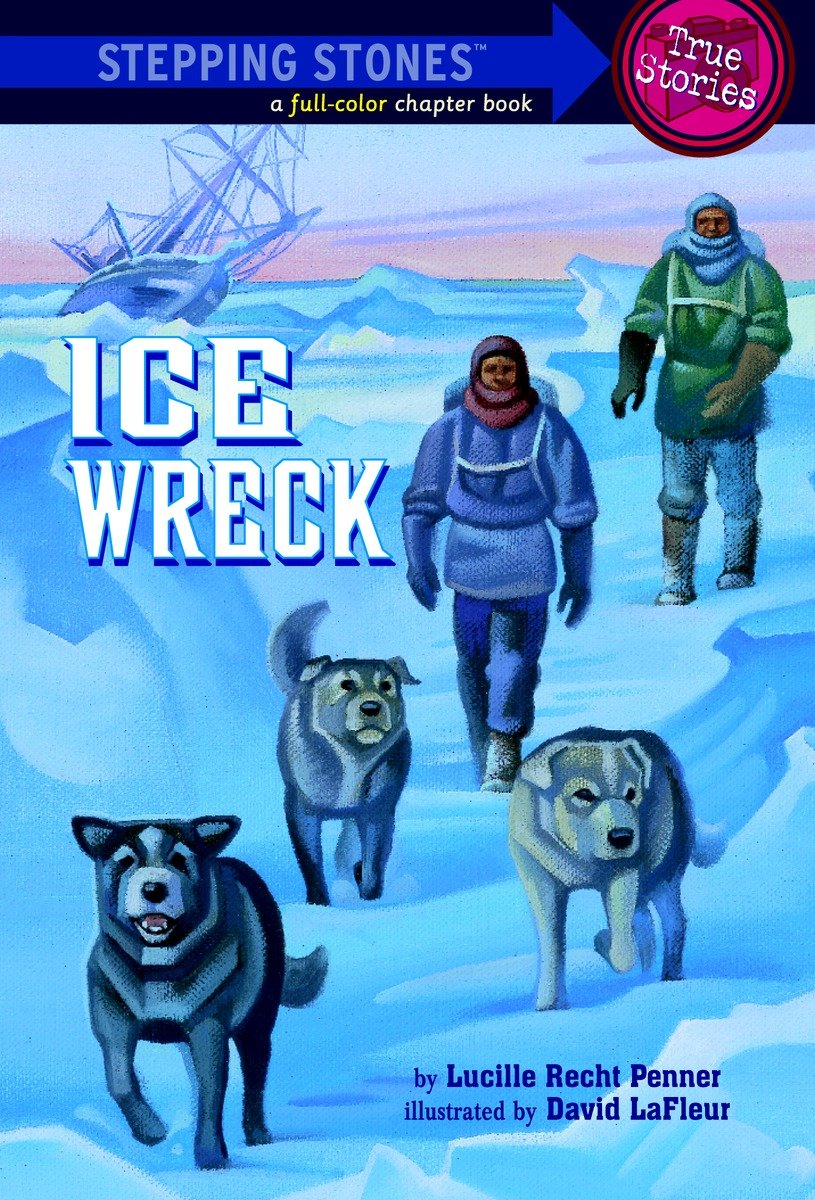 Ice wreck cover image