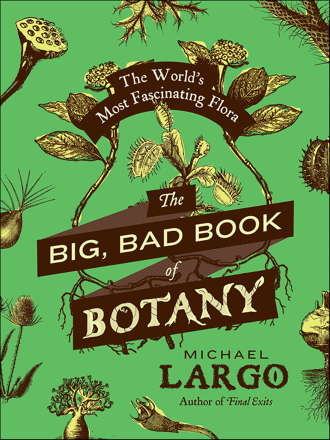 The big, bad book of botany The World's Most Fascinating Flora cover image