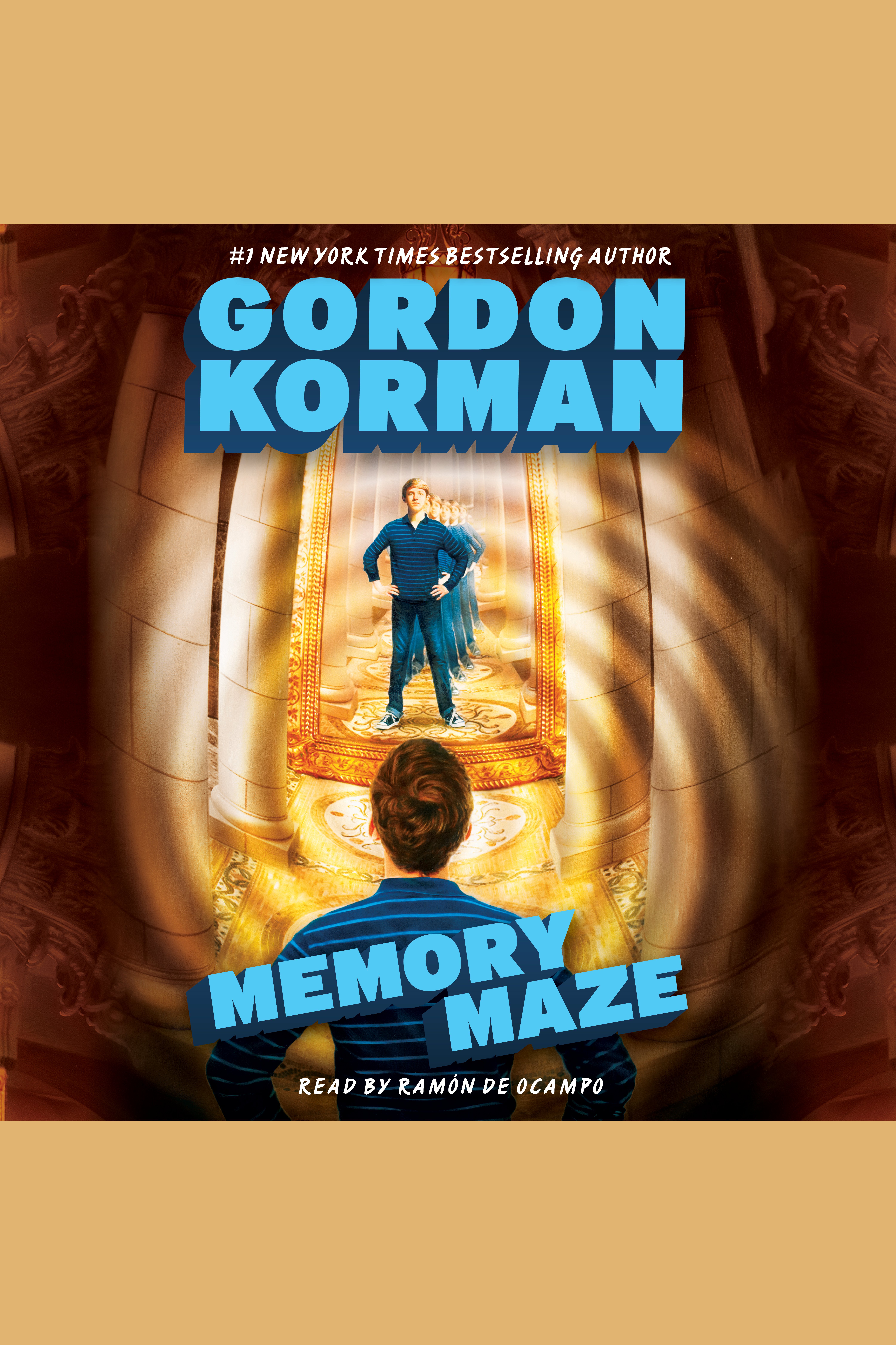 The memory maze cover image