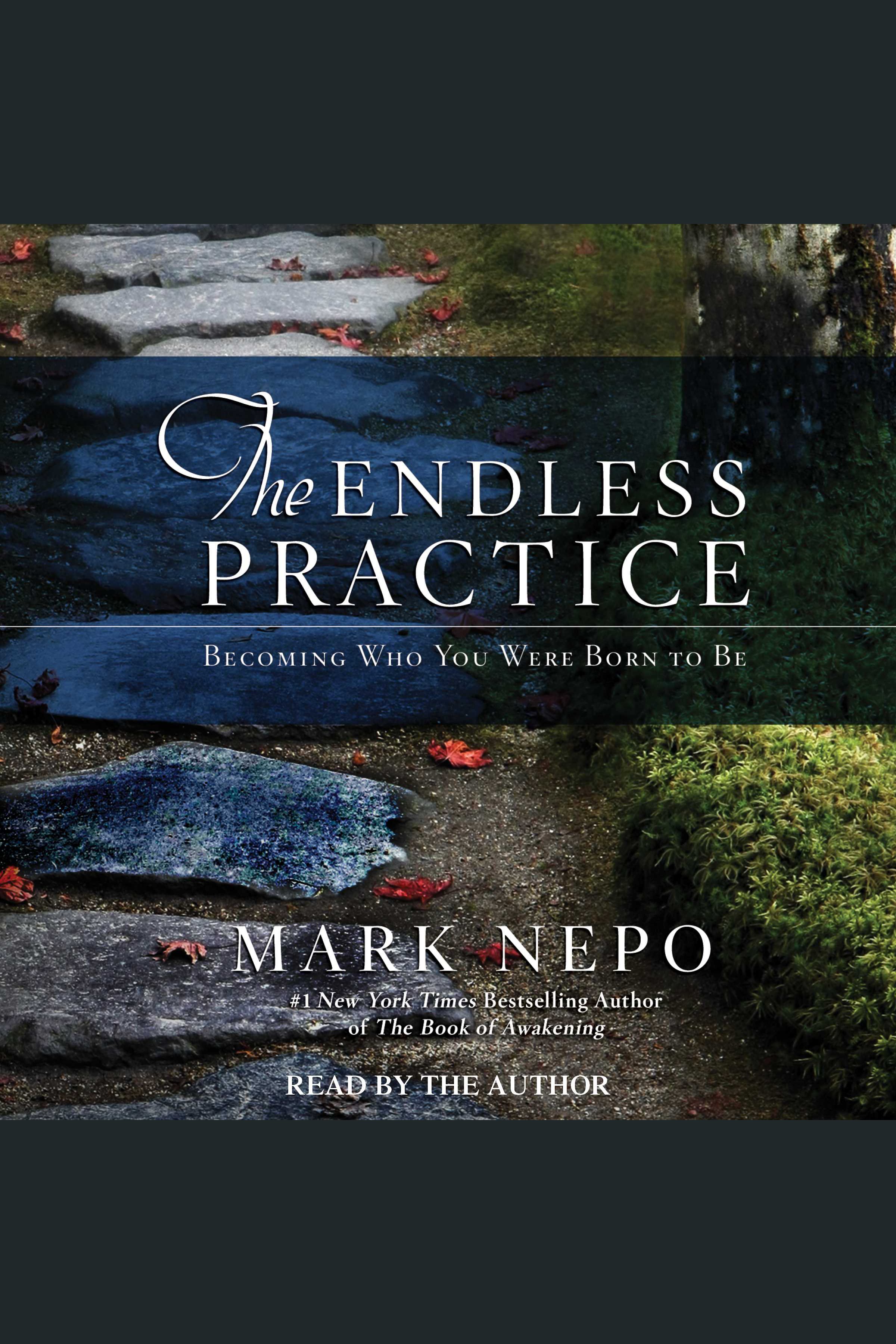 The endless practice becoming who you were born to be cover image