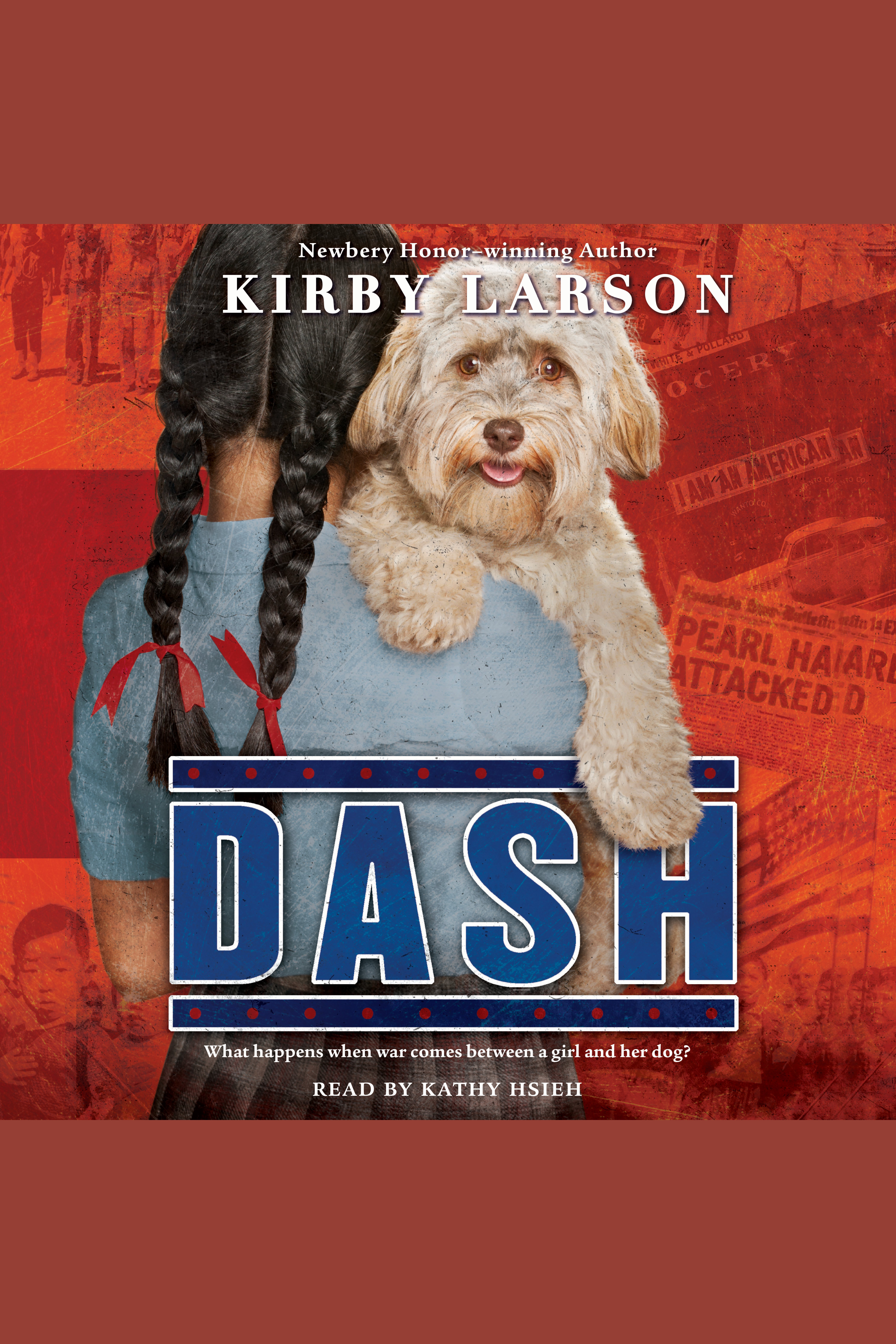 Dash cover image