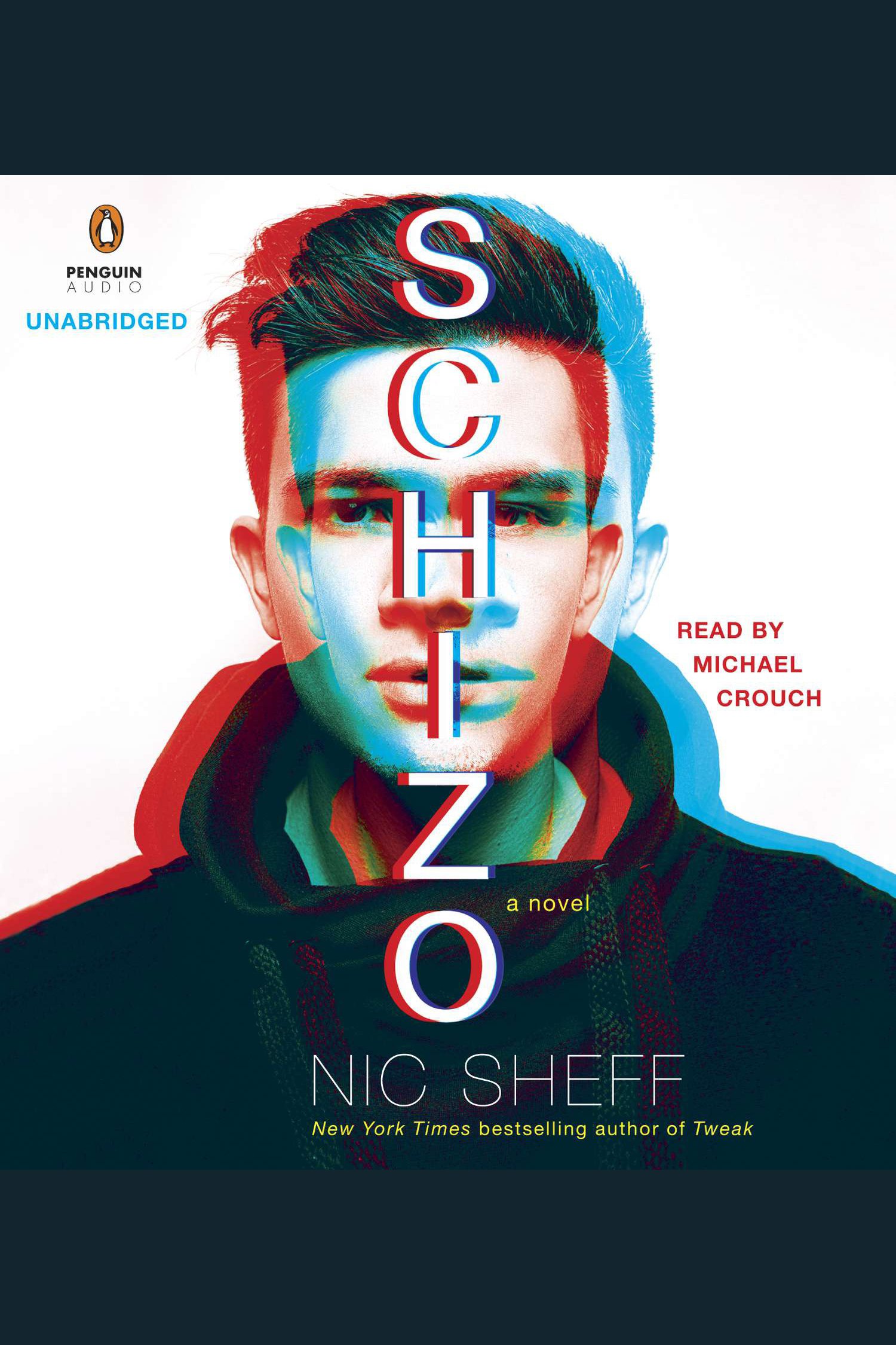 Schizo cover image