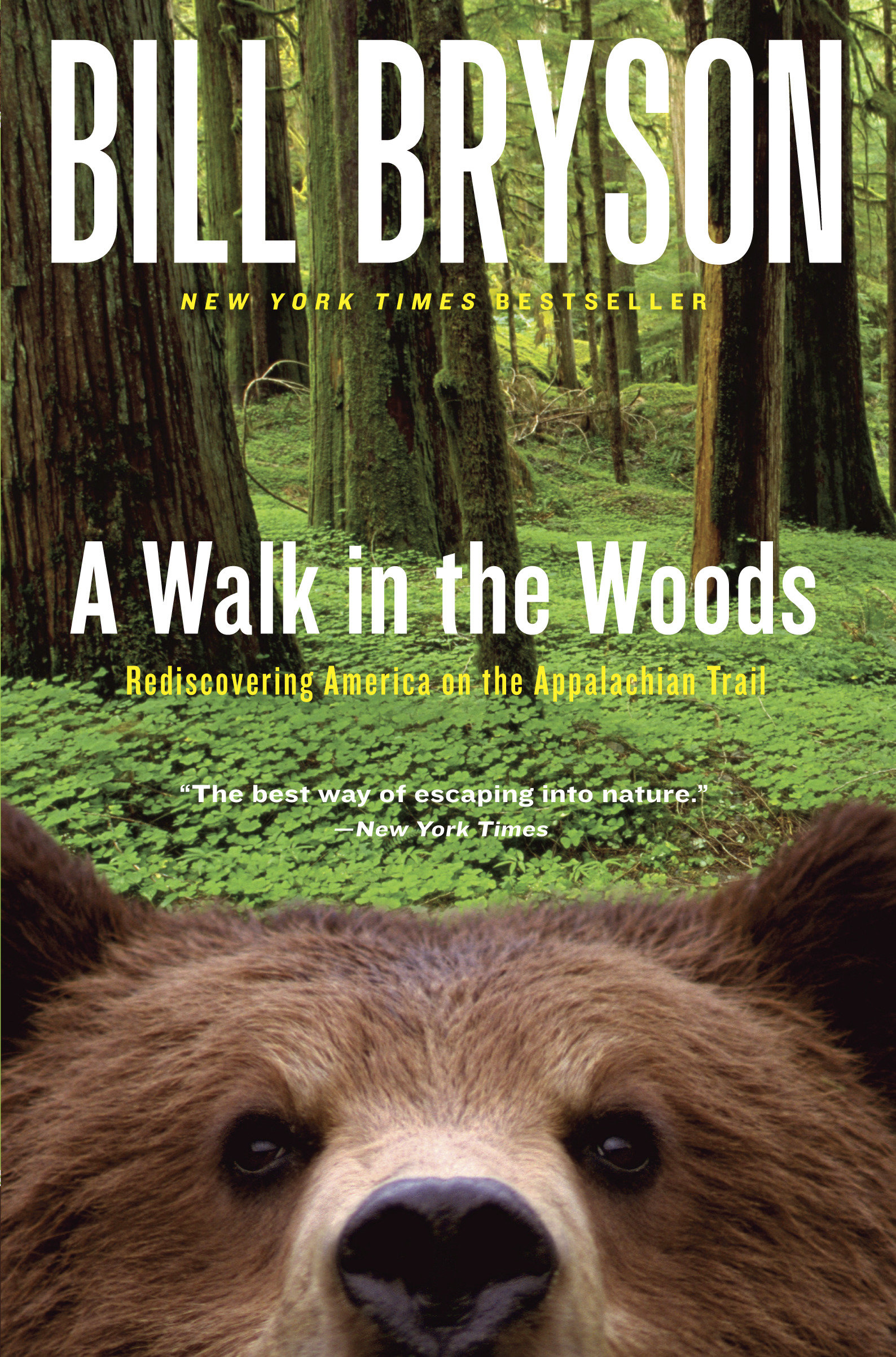 A walk in the woods rediscovering America on the Appalachian Trail cover image