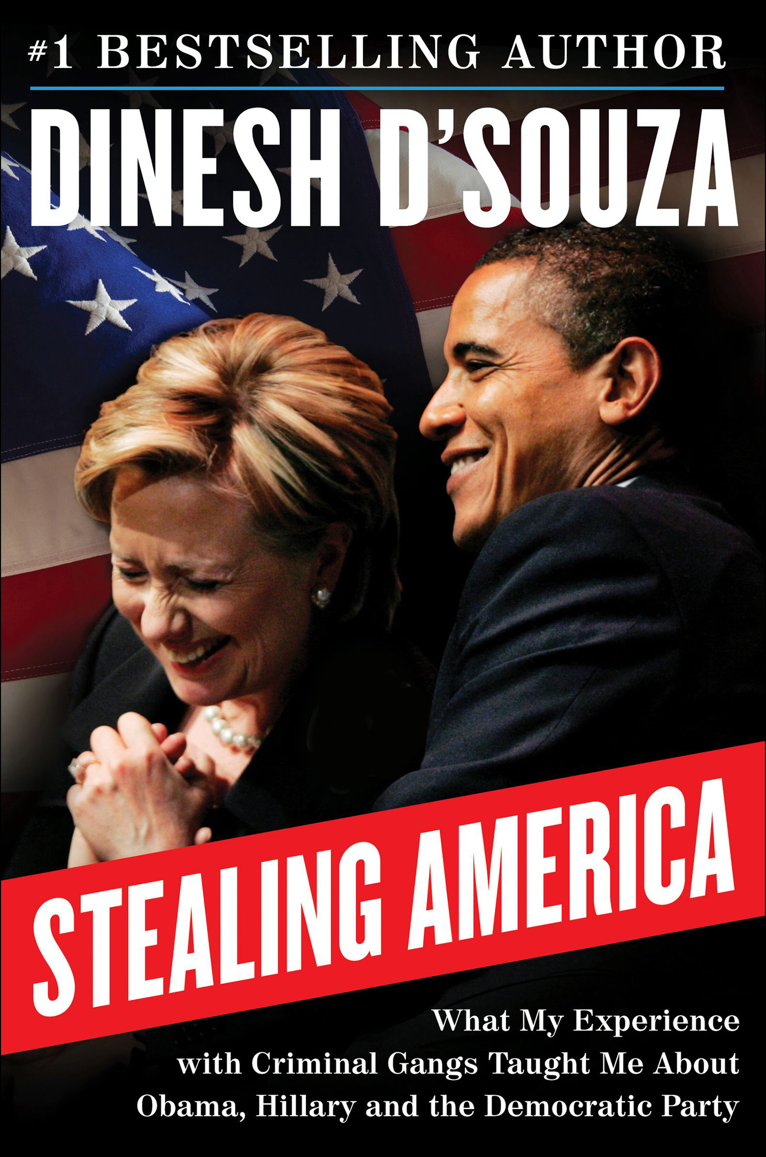Stealing America What My Experience with Criminal Gangs Taught Me about Obama, Hillary, and the Democratic Party cover image
