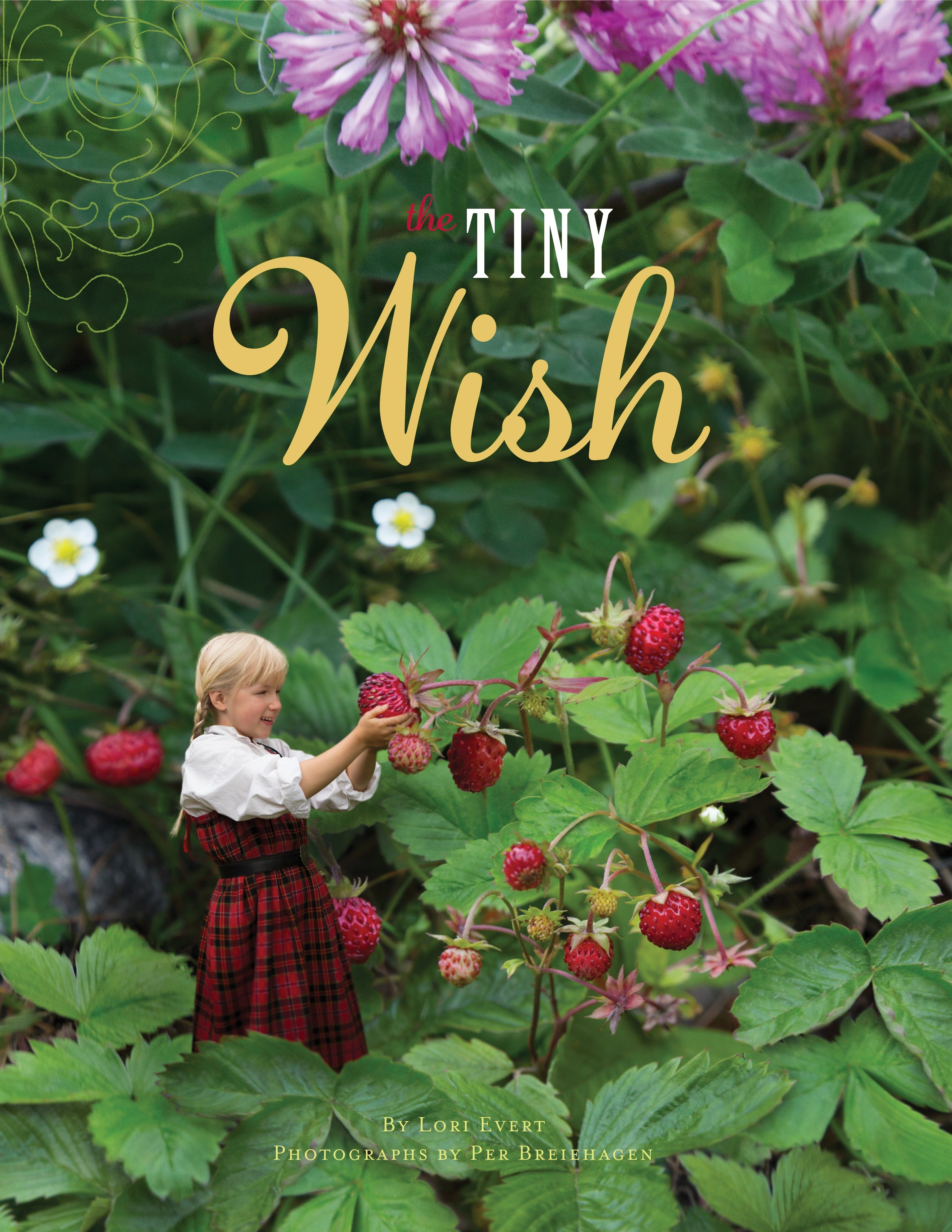 The tiny wish cover image