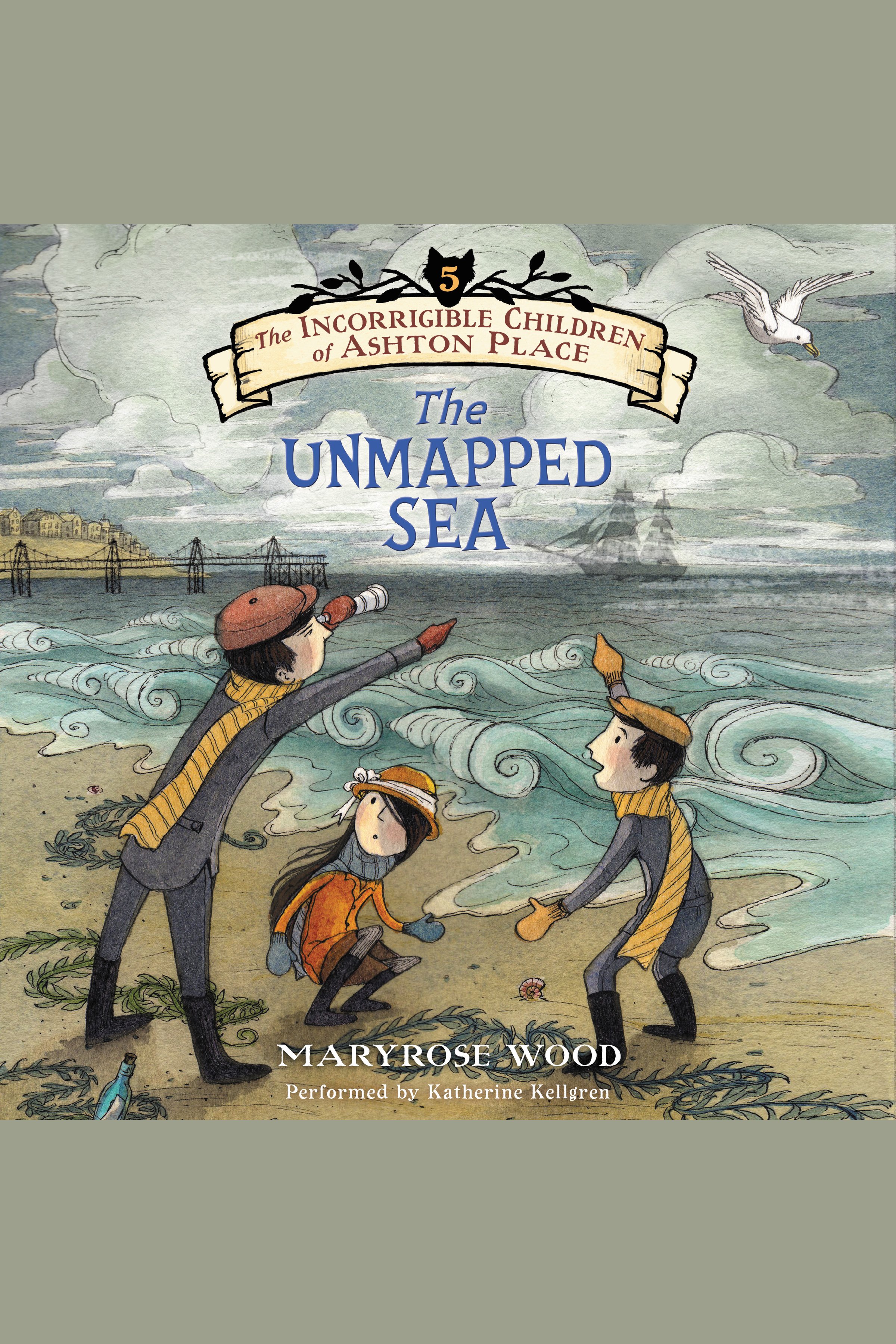 The unmapped sea cover image