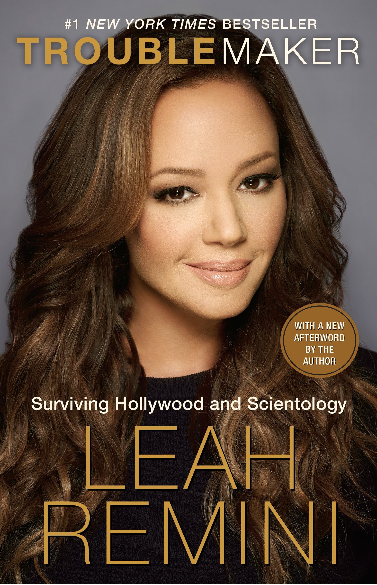Troublemaker surviving Hollywood and Scientology cover image