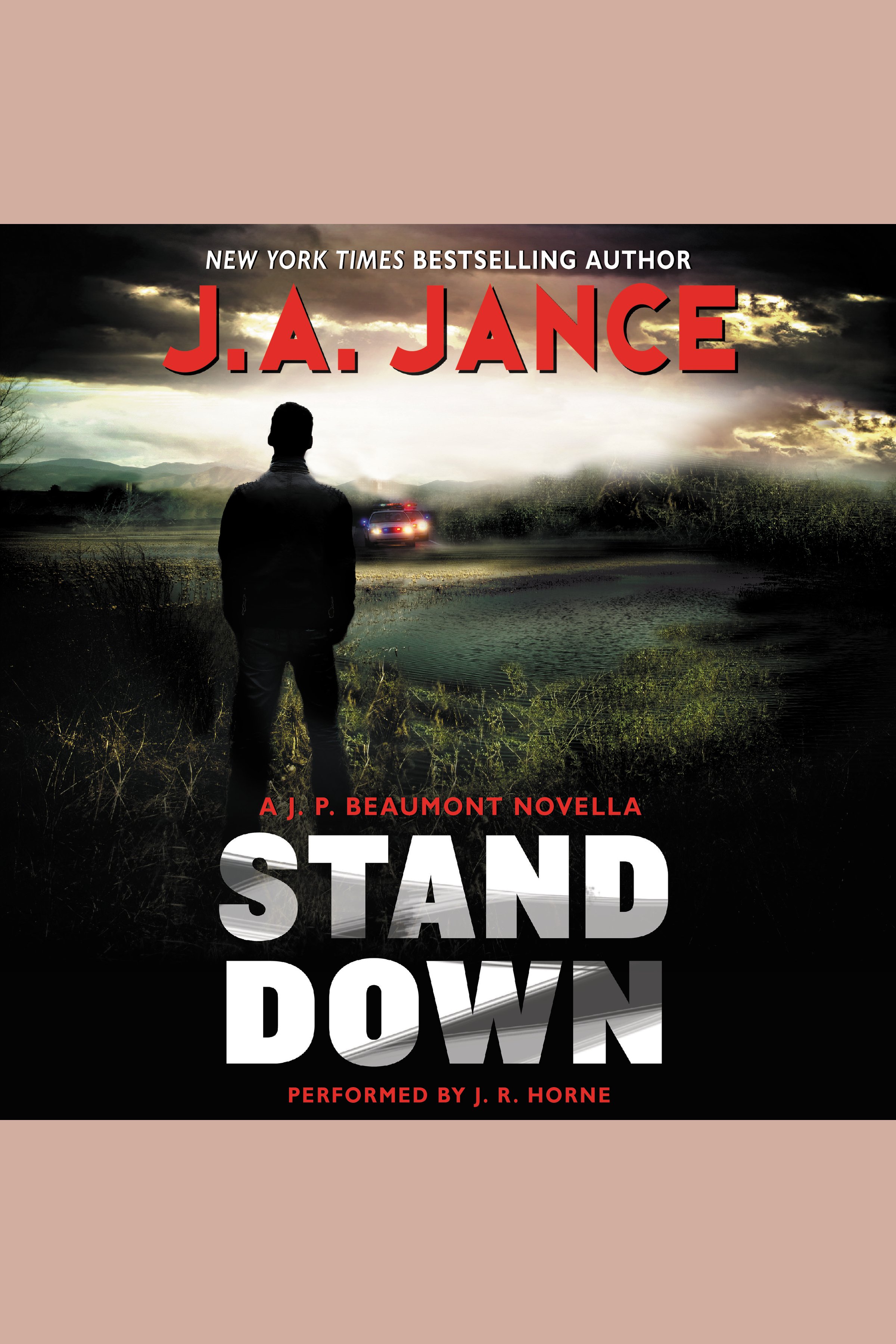 Stand down A J.P. Beaumont Novella cover image