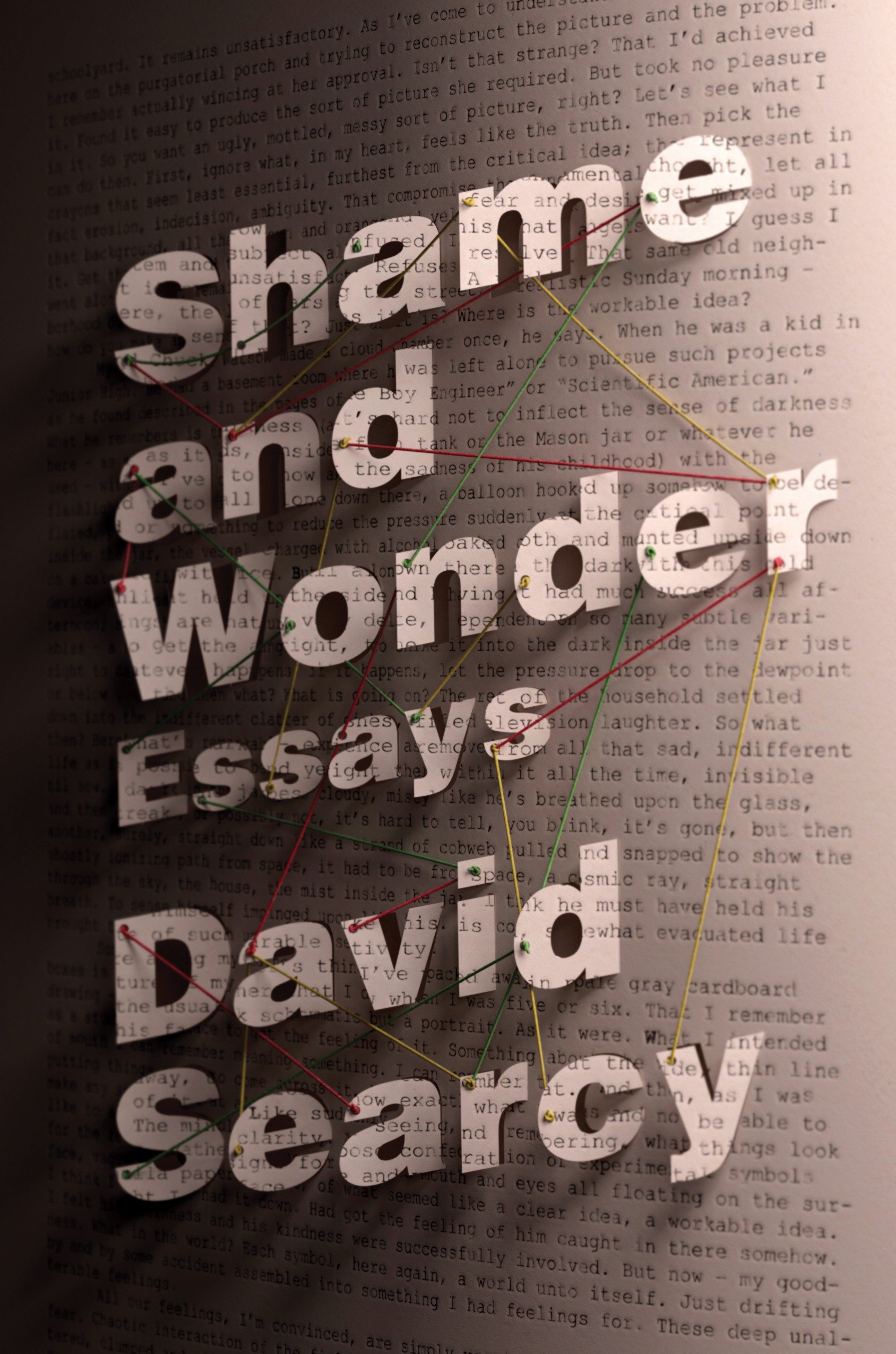 Shame and wonder essays cover image