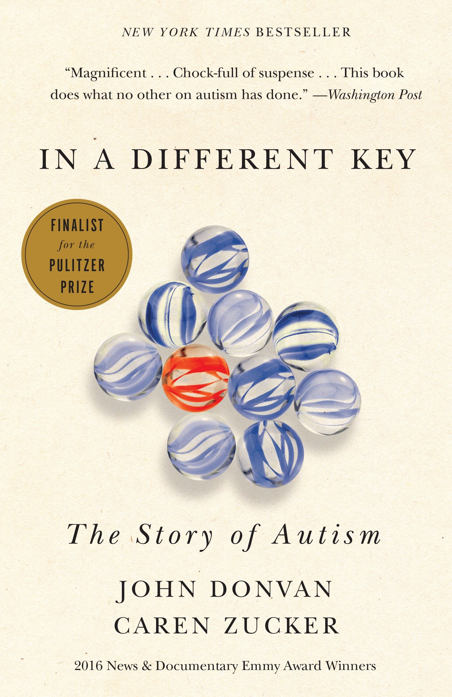 In a different key The Story of Autism cover image