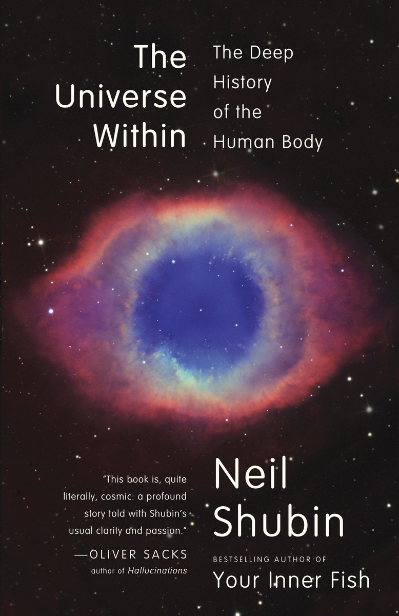 The universe within discovering the common history of rocks, planets, and people cover image