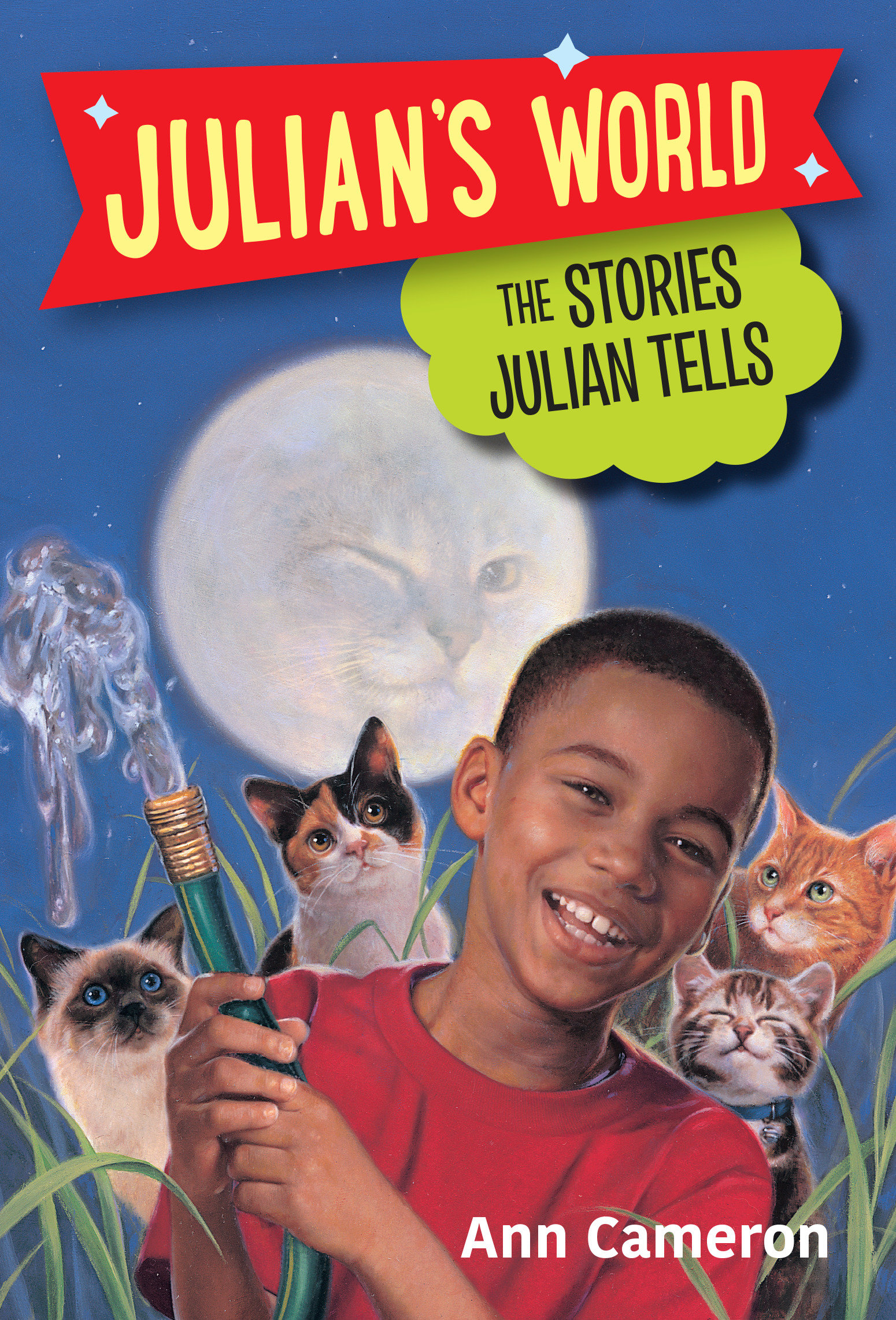 The stories Julian tells cover image
